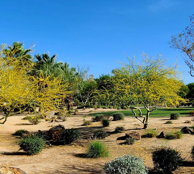 Desert Healthcare (Wellness) Park (Palm&nbspSprings,&nbspCA)